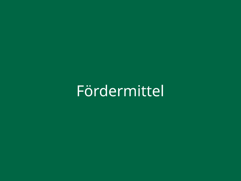 Fördermittel