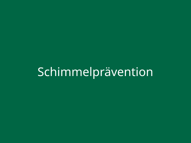 Schimmelprävention