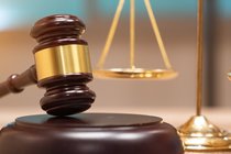 Architekten- und Ingenieurrecht aktuell