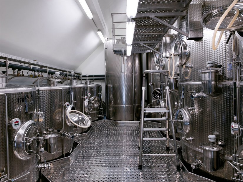 Aufgrund des rauen Klimas setzt das Weingut Turnau auf besonders robuste und frostsichere Rebsorten aus Deutschland.
