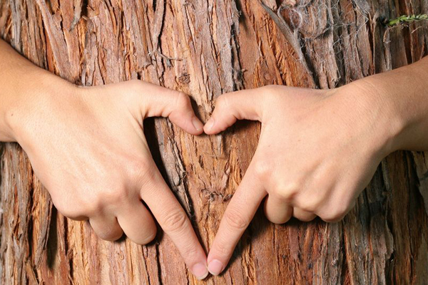 Holzbauteile perfekt gestalten und dauerhaft schützen